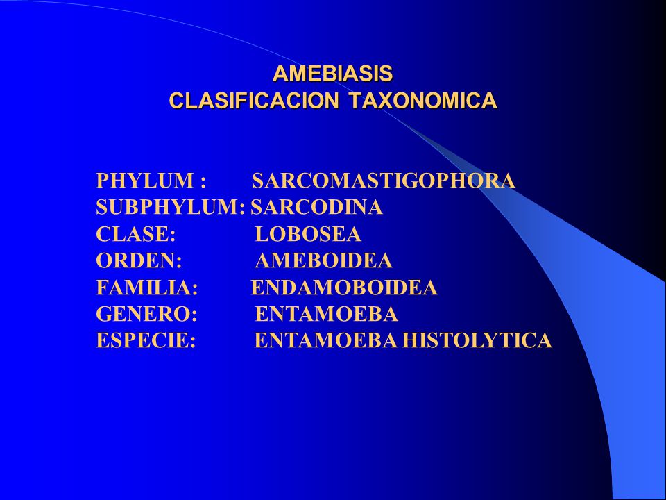 entamoeba gingivalis taxonomia